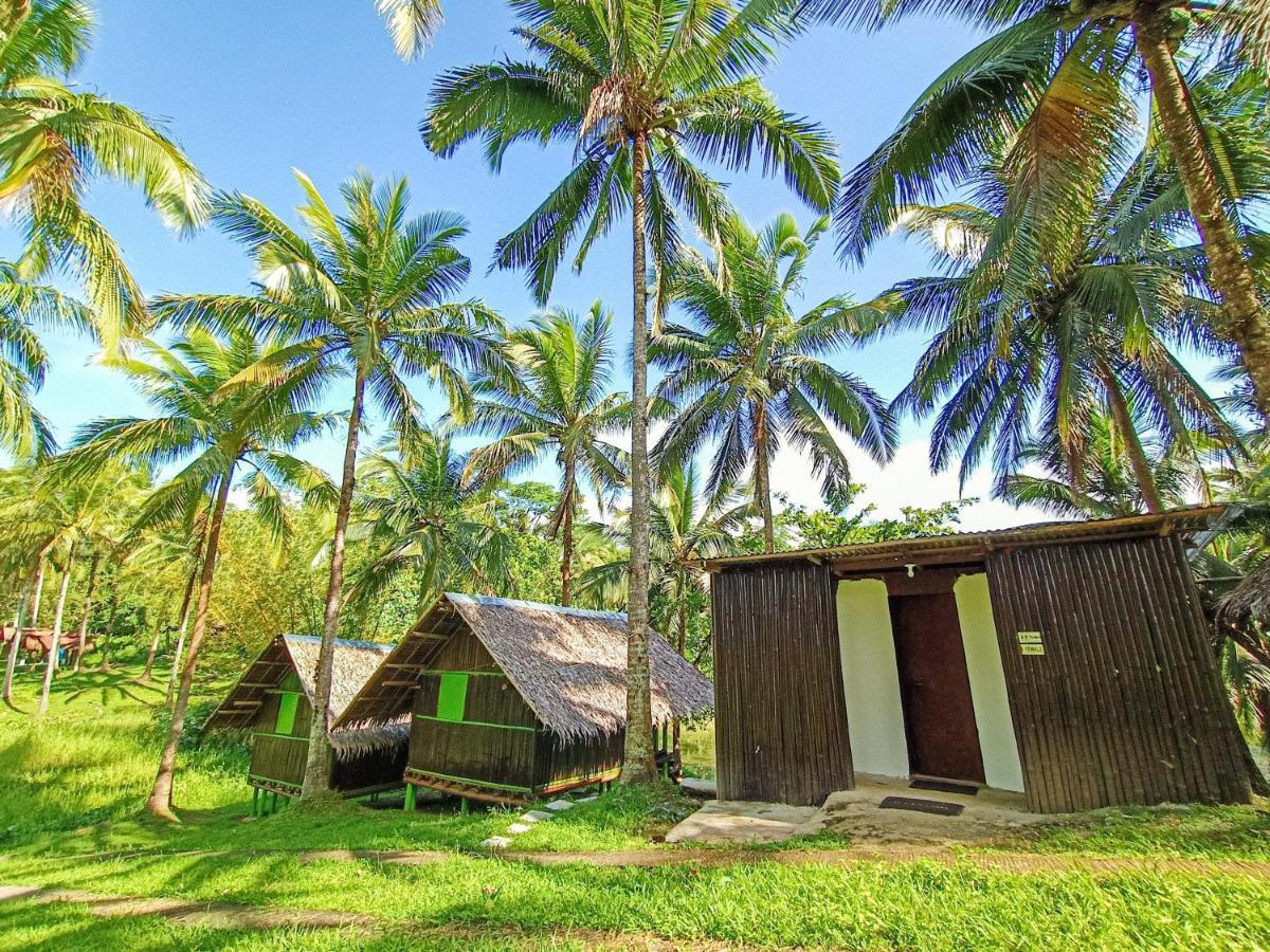 Caliraya Ecoville Recreation And Farm Resort Cavinti Exteriör bild