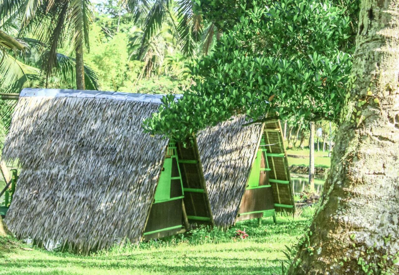 Caliraya Ecoville Recreation And Farm Resort Cavinti Exteriör bild