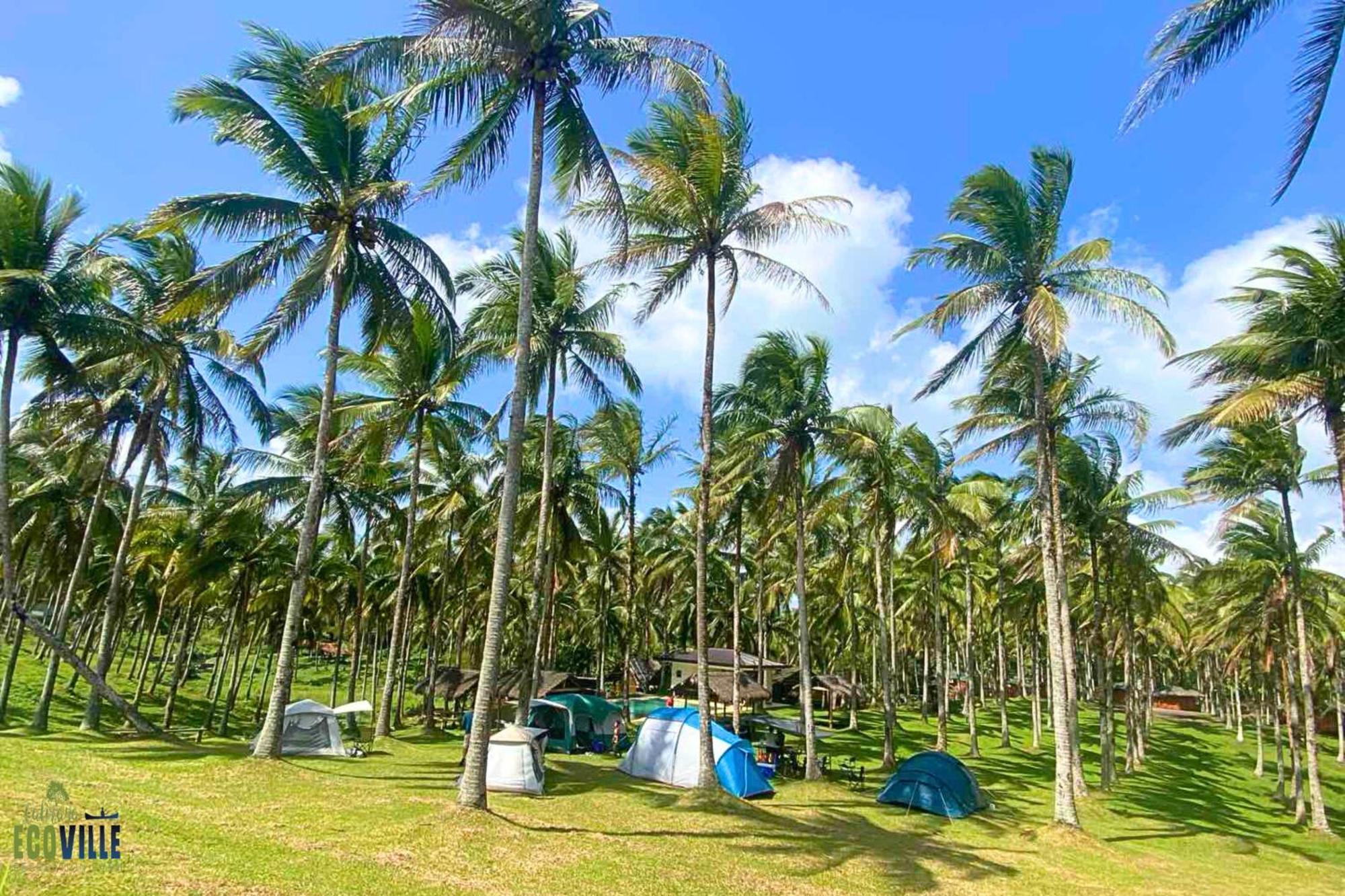 Caliraya Ecoville Recreation And Farm Resort Cavinti Exteriör bild